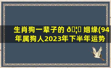 生肖狗一辈子的 🦁 姻缘(94年属狗人2023年下半年运势 🐎 )